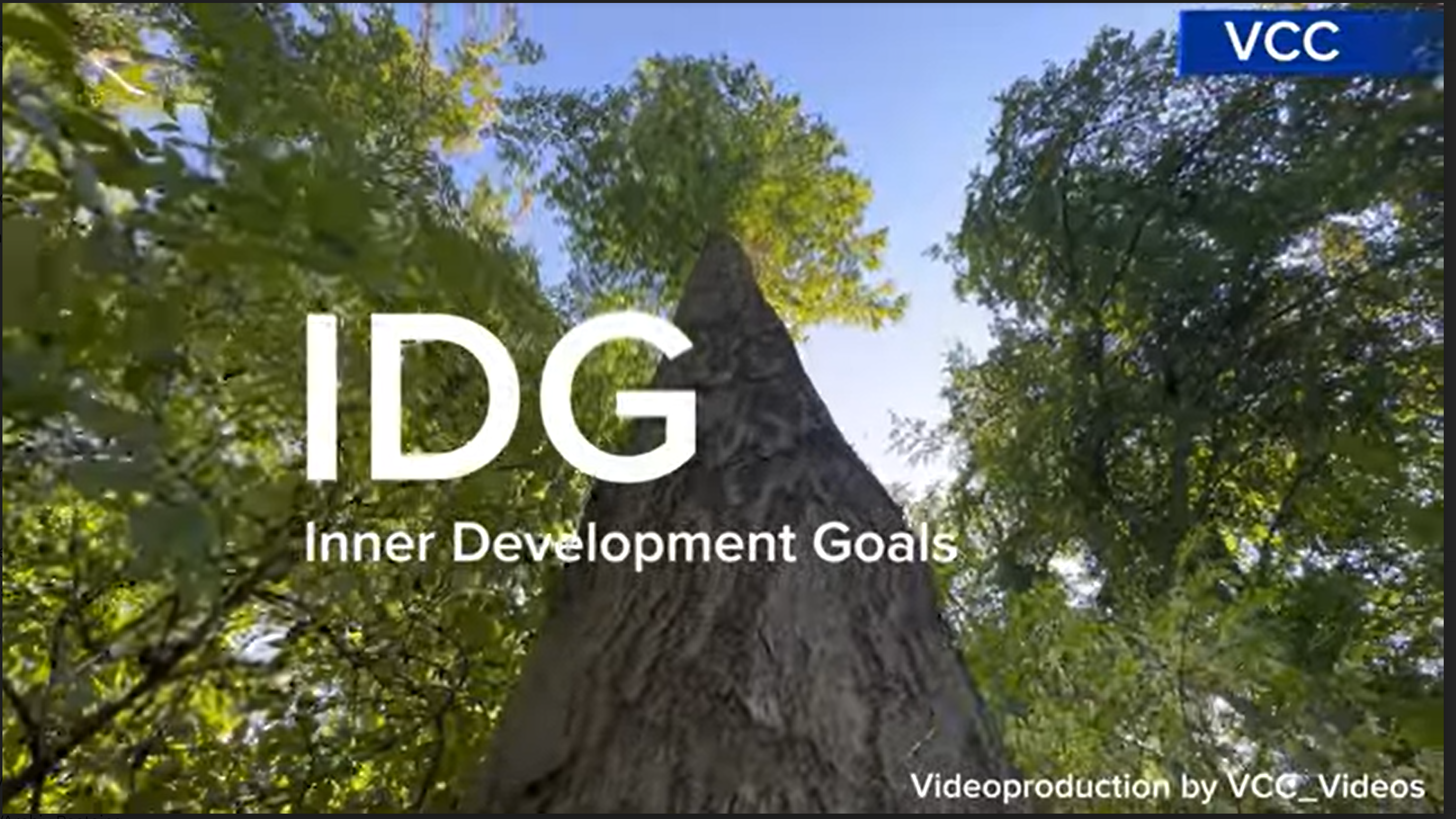 IDG: Innere Entwicklung für nachhaltige Transformation – in und mit der Natur